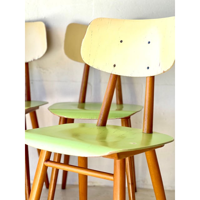 Dining Chairs from Ton, 1960, Set of 4 For Sale - Image 13 of 18