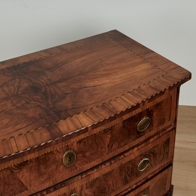 Antique Italian Neo Classic Bow Front Chest or Commode For Sale - Image 11 of 14