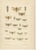 Entomological Lithographs from Die Geradflügler, Germany, 1908, Set of 2 For Sale - Image 4 of 12