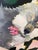 “Flower Eater” Wolf Painting by LWren Walraven For Sale - Image 11 of 13
