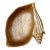 Vintage Carved Wood Shell Bowl For Sale