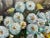 Vintage Still Life Floral Oil Painting For Sale - Image 10 of 11