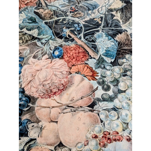 Jan Van Huysum, A Flower Piece and a Fruit Piece, London: Richard Earlon and John Boydell, 1778, Watercolors on Mezzotint, Framed, Set of 2 For Sale - Image 14 of 18