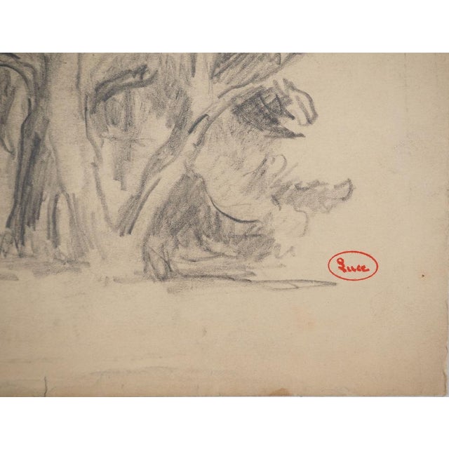 Maximilien LUCE (1858-1941) Trees at the edge of the forest Original pencil drawing Signed with the artist's stamp On...