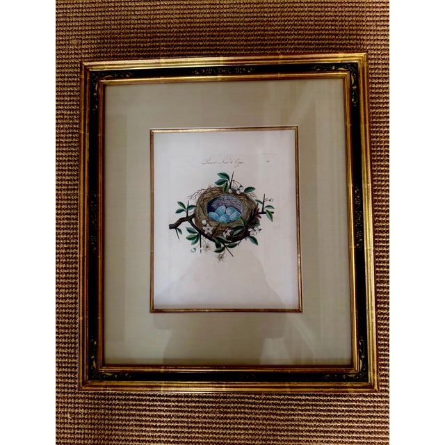 Mid 19th Century Set of 4 Antique English James Bolton Engravings From Harmonia Ruralis 1845 For Sale - Image 5 of 7