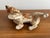 Ceramic Vintage Porcelain Figurine Spaniel Hunting Dog With Pheasant For Sale - Image 7 of 8