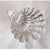 A charming late 20th-century english sterling silver novelty dish, beautifully modelled in the naturalistic form of a...