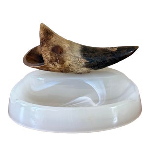 Natural Bull Horn Cigerette Ashtray For Sale