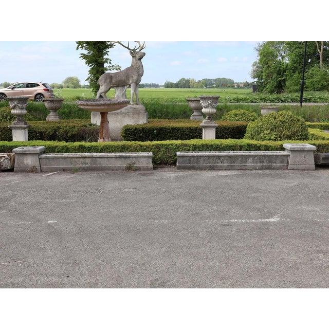 Mid-Century French Limestone Planters, 1950s, Set of 4 For Sale - Image 9 of 12