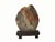 Chinese Vintage Chinese Shou Shan Stone Tree Scenery Display Figure For Sale - Image 3 of 16