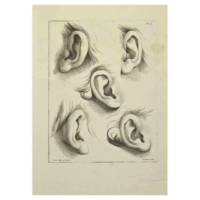 Jean François Poletnich, Ears, Etching, 1755 For Sale