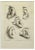 Jean François Poletnich, Ears, Etching, 1755 For Sale