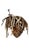 Early 20th Century Chokwe Mask Mwana Pwo with Headdress For Sale - Image 4 of 4