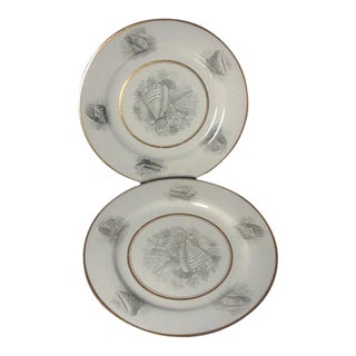 1810 Worcester Porcelain Flight Barr Bat Printed Sea Shell Dinner Plates - A Pair For Sale