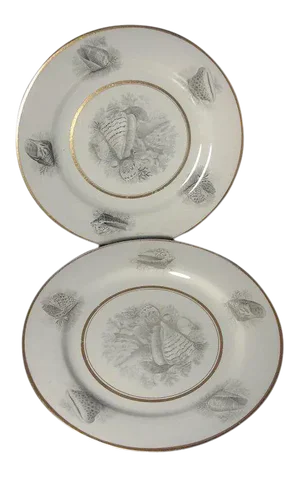 1810 Worcester Porcelain Flight Barr Bat Printed Sea Shell Dinner Plates - A Pair