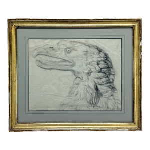 Important 18th Century, American School Bald Eagle Drawing Attr William Bartram