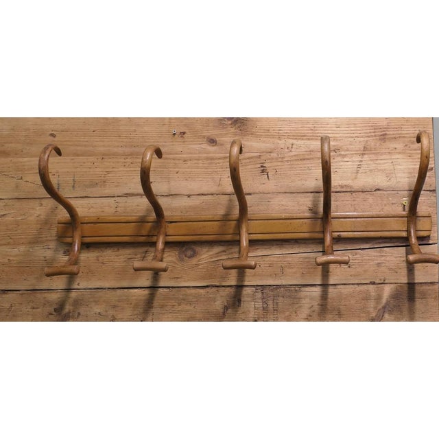 Wood Antique Hat and Coat Hooks in Bentwood, 1900 For Sale - Image 7 of 11