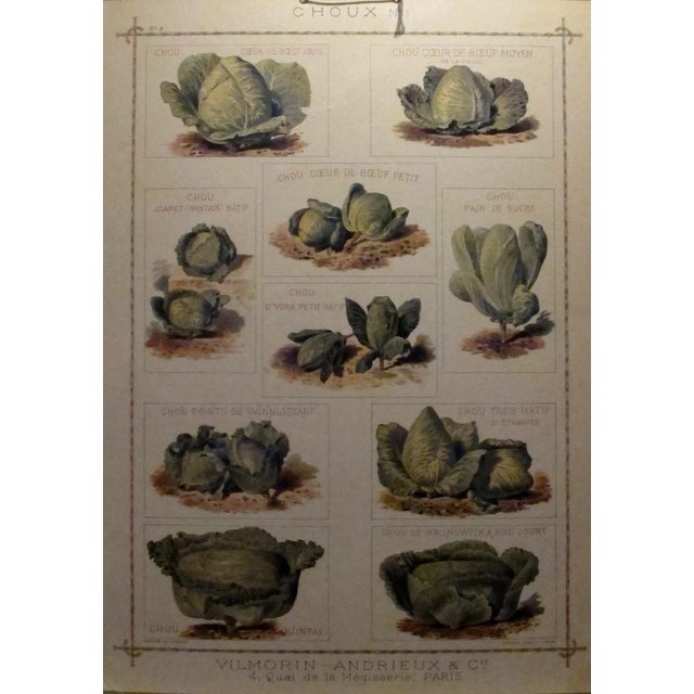 A delightful French advertising piece from the very early 1900s. It is printed on thick card stock and can be hung by the...