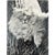 American Paul Dunckhorst "Oscar" Original Black & White Photograph c.1943 – Exhibited at the Fourth Annual North American Salon For Sale - Image 3 of 7
