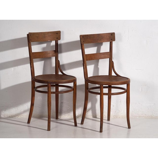 Chairs from Thonet, 1920s, Set of 4 For Sale - Image 6 of 16