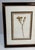 Framed Pressed Wax Flower Blossom For Sale - Image 4 of 9