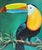 Colorful original painting depicting a toucan perched among tropical foliage and flowers. The bird is rendered in vivid...