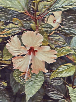 Ian Jones, Flowers in Vietnam, Print