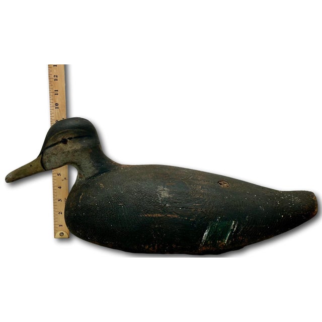 Unusually Large Size Antique American Carved Wood Hand Painted Duck Hunters Decoy From Downeast Coastal Maine - 22 Inches Long For Sale In Boston - Image 6 of 18