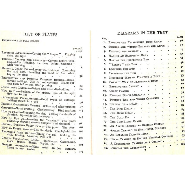 Paper "Ward Lock's Book of Gardening: An Abc of Garden Management" For Sale - Image 7 of 9
