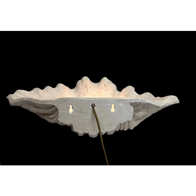 Serge Roche Large Vintage Plaster Organic Sea Shell Wall Light, 1970s For Sale - Image 4 of 10