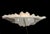 Serge Roche Large Vintage Plaster Organic Sea Shell Wall Light, 1970s For Sale - Image 4 of 10