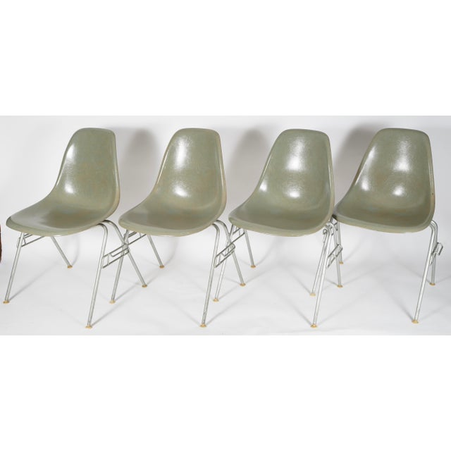 Vintage Eames Fiberglass DSS Stacking Chairs in a moss green color by Charles and Ray Eames for Herman Miller Set of 4....