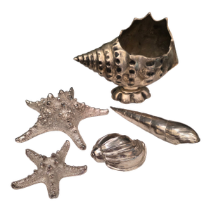 Collection of Silverplated Sea Shells