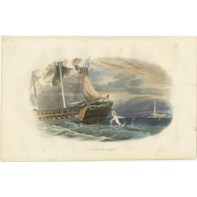 After Édouard Traviès, Shark Fishing, 1840, Hand-Colored Engraving For Sale - Image 3 of 10