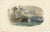 After Édouard Traviès, Shark Fishing, 1840, Hand-Colored Engraving For Sale - Image 3 of 10