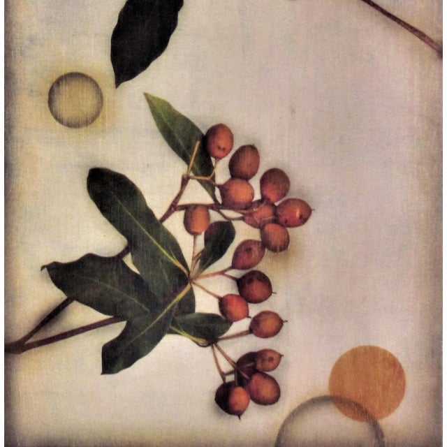 Kaoru Mansour, Light and Two Branches, Circa2010 For Sale - Image 4 of 8