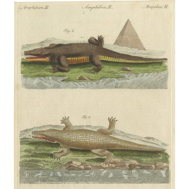 Bertuch, Crocodiles with an Egyptian Pyramid, 1805, Print For Sale - Image 12 of 12
