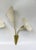 Floral Wall Lights, 1950s, Set of 2 For Sale - Image 14 of 18