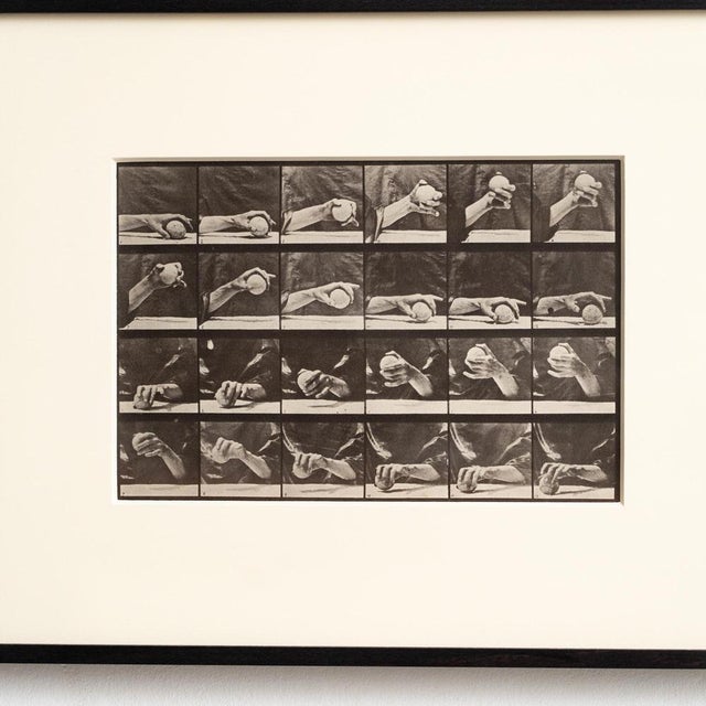 1980s Eadweard Muybridge, Black and White Hand with Ball Movement, 1982, Photograph, Framed For Sale - Image 5 of 14