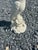 White Ceramic Italian Cockatoo Bird Sculpture For Sale In Philadelphia - Image 6 of 9