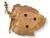 Early 21st Century Boho Chic Gilt Grape Leaf Nut Dish, 3 Piece Set For Sale - Image 5 of 6