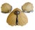 Vintage Art Deco Wall Lights, 1930s, Set of 3 For Sale - Image 14 of 14