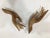 1960s Mid-Century Wooden Hands - a Pair For Sale - Image 4 of 9