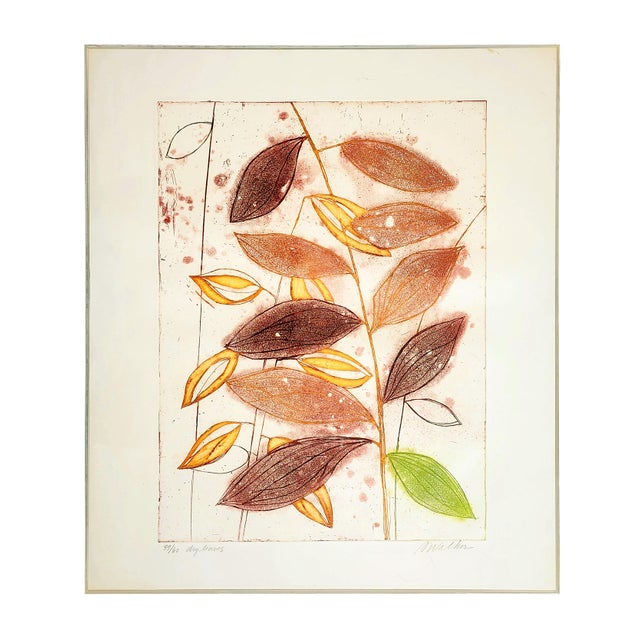 1980s Artist Anne Walker Signed Colored Etching and Aquatint Framed Botanical Wall Art Painting For Sale - Image 16 of 16