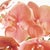 100% realistic a perfect copy of nature. This exquisite vibrant pink orchid dropin is a nomaintenance work of art. Right...