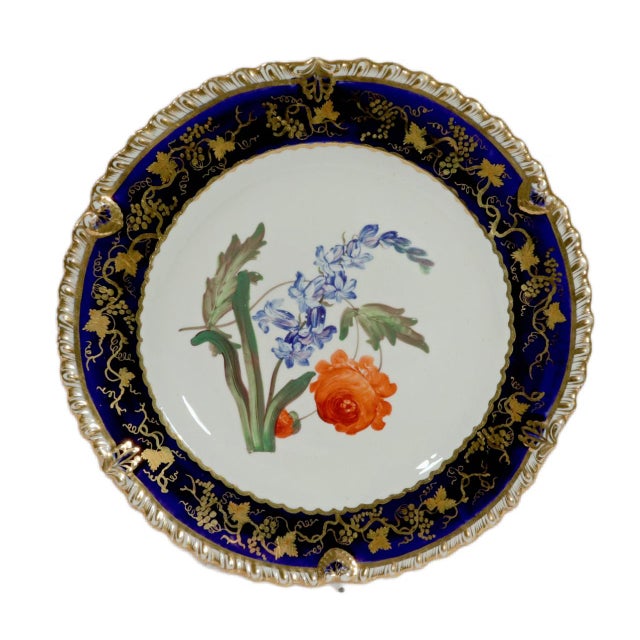 Early 19th Century Coalport Porcelain Botanical Plates, Set of Twelve, John Rose For Sale - Image 5 of 16