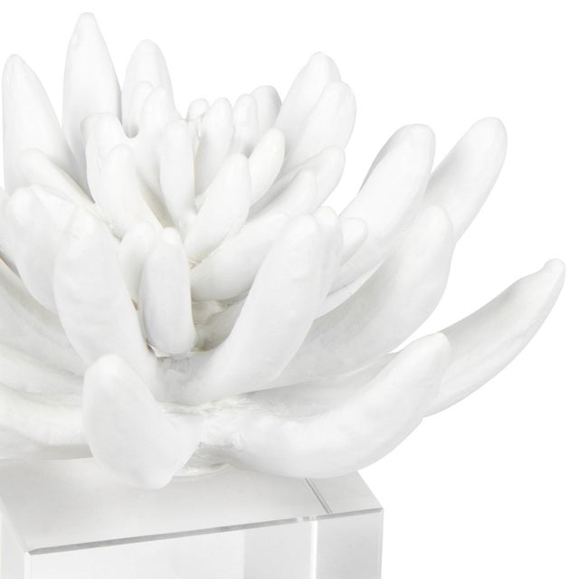 Contemporary Regina Andrew Succulent Resin Sculpture 2 For Sale - Image 3 of 6