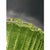 Green Murano Glass Italian Graniglia" Budino" Flush Mount in 70' Style For Sale - Image 9 of 14