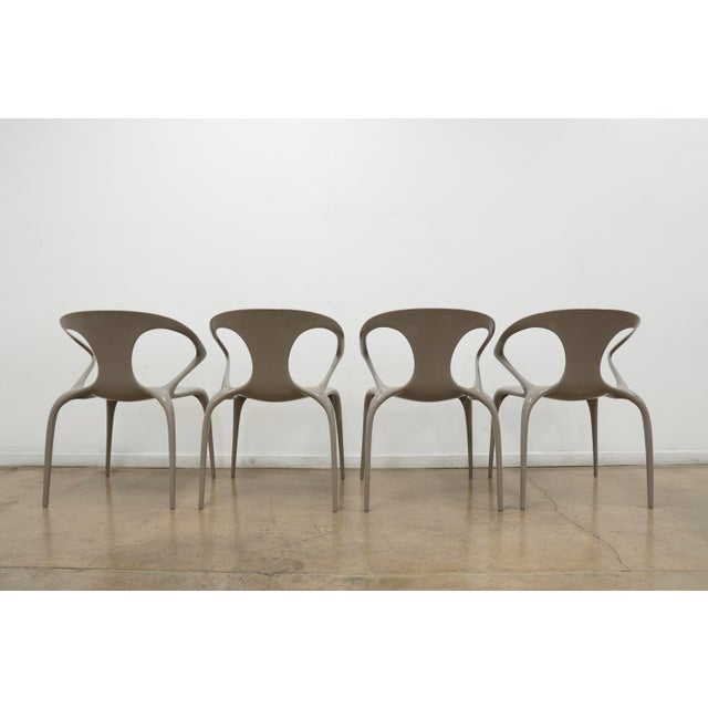 Roche Bobois Ava Dining Chairs (Set of 8) For Sale In Austin - Image 6 of 16