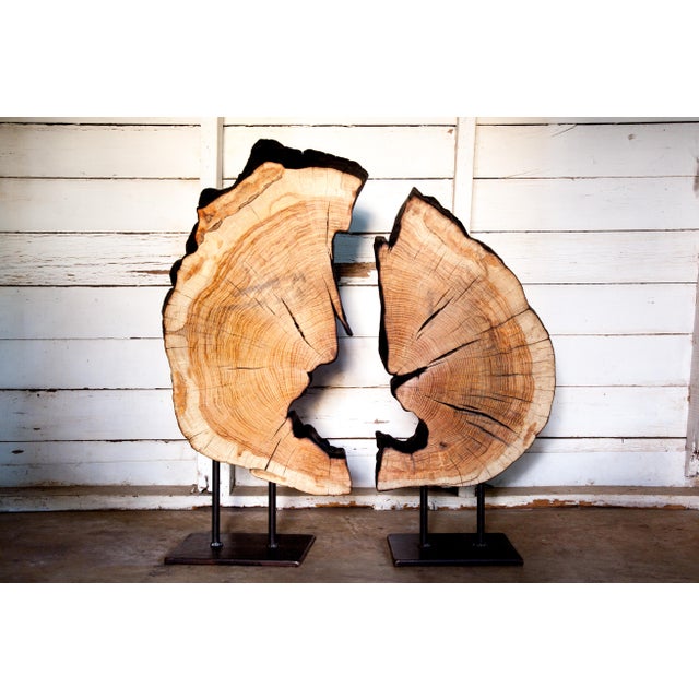 Contemporary Indra Collection Yakisugi Modern Organic Wood Sculpture - Set of 2 For Sale - Image 4 of 10